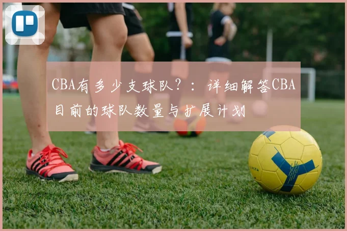 CBA有多少支球队？：详细解答CBA目前的球队数量与扩展计划