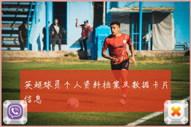 英超球员个人资料档案及数据卡片信息