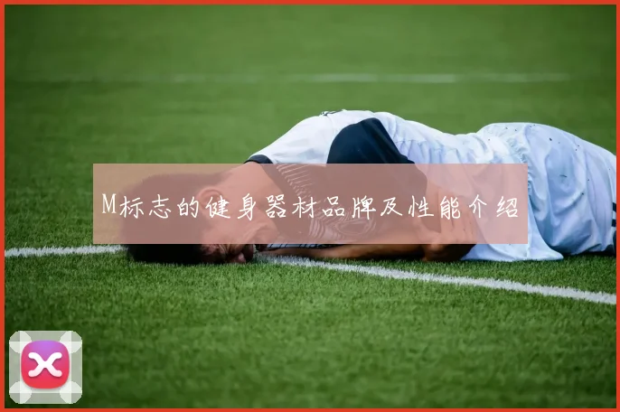 M标志的健身器材品牌及性能介绍